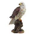 thumbnail image 3 of Ebros Faune Faucon à Queue Rouge sur Souche d'Arbre Statue Oiseaux de Proie Figurine 10"H, 3 of 5