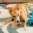 thumbnail image 4 of Dog Teething Rope Toy Sounding Dog Toy Cute Animal Shaped Pet Toy Knitted Dog Toy Suitable For Small And Medium Dogs, 4 of 6