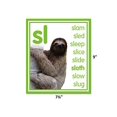 thumbnail image 3 of TEACHER CREATED RESOURCES Cartes PHOTO Colorées BB ST, 3 of 5