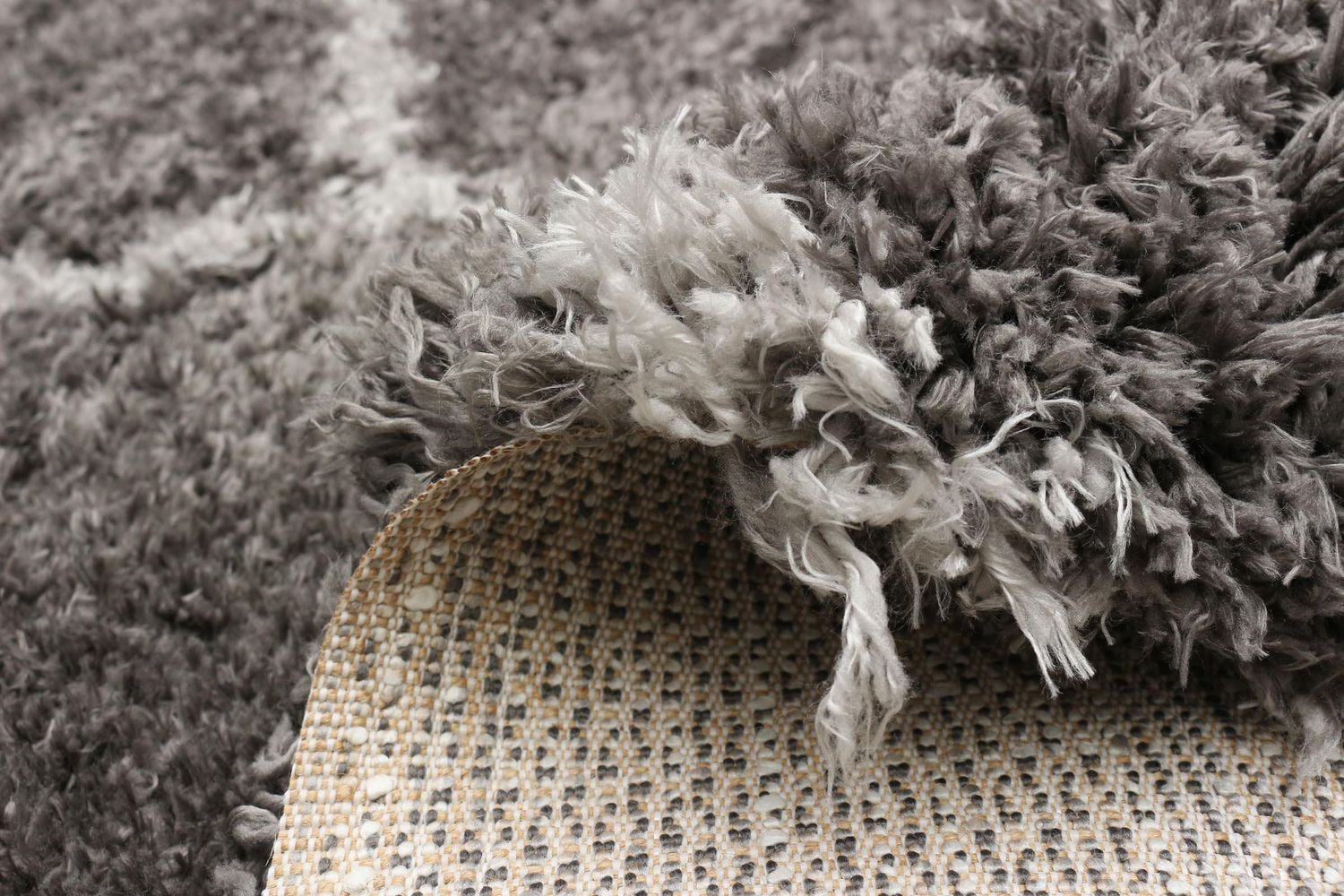 ECARPET Super Soft Shag Area Rug for Living Room, Bedroom and Basement, Trellis Design