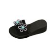 thumbnail image 1 of Pantoufles Bleu Ciel pour Femmes à Talon Compensé, Bout Rond, Bout Ouvert, Fleur en Strass, Semelle Épaisse, Décontractées, Printemps Été, Extérieur Intérieur, Sandales à Enfiler pour Femmes, Usage Quotidien, Taille 36, 1 of 6