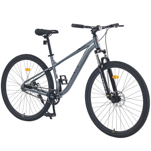 29 Inch Wheels Single Speed Mountain Bike, for Men Women Boys and Girls ...