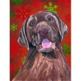 thumbnail image 1 of Carolines Treasures SC9424CHF 28 x 40 Po Labrador Rouge Vert Flocon de Neige Vacances Noël Maison Taille Drapeau de Toile, 1 of 4
