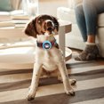 thumbnail image 4 of Haofy Anti Bark Dog Collar, Training Collar, For Dog Pets, 4 of 8