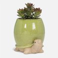 thumbnail image 4 of Linen Chest Green Turtle Planter, 4 of 5