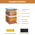 thumbnail image 2 of EDTara Bee Hive Starter Kit, 10-Frame Langstroth Beehive with Deep & Medium Box, Beeswax Dipped, Acrylic Window, 2 of 8