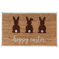 thumbnail image 2 of Yhmxh Bathroom Rugs,Rugs for Living Room,Area Rug Easter Doormat Easter Eggs Entryway Front Porch Rugs Anti-Skid Bottom Floor Indoor Outdoor Carpet for Home Patio Home Decor Crystal Velvet Carpet, 2 of 7