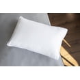 thumbnail image 1 of Sleep Guard Cotton and Polyester Pillow Standard, 1 of 3