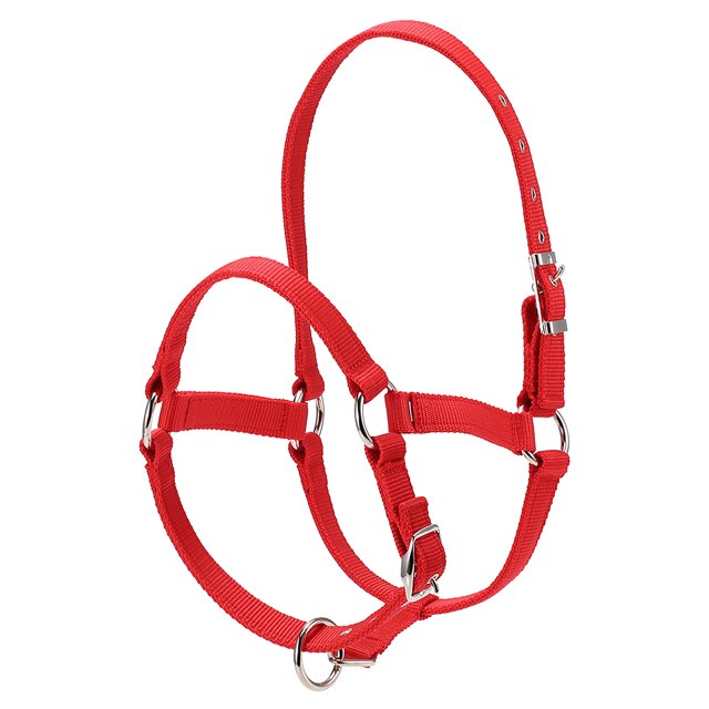 Amdohai Collier de Tête de Cheval Épaissi 6MM Réglable Sécurité Licou Bride