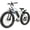 White, variant on Cinverter 26" X 4.0" Electric Bike for Adults, 500W Motor 48V 696Wh Removable Battery 85km Max Range 32km/h Speed Fat Tire Electric Bicycle, Shimano 7-Speed Gear Snow Beach E-Bike