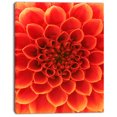 thumbnail image 2 of Orange Abstract Floral Design - Floral Canvas Art Print, 2 of 3