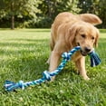 thumbnail image 4 of Mammoth Flossy Chews Extra Large 36 Inch 5 Knot Cottonblend Tug Rope Dog Toy, Durable Rope Chew Toy for Large Dogs Over 80 lbs, Multi-color, 4 of 5