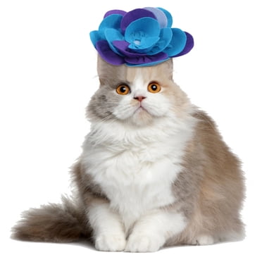 Bangcool Christmas Cat Headwear Funny Fake Flower Cat Nosework Toy Kitten Costume Hat