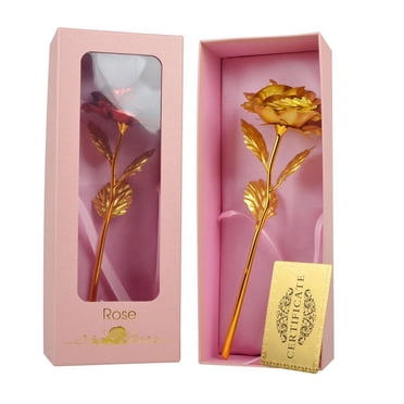 Kcavykas Cadeaux de la Fête des Mères, Décorations pour la Maison Cadeau de la Saint-Valentin Rose Colorée Luminaire Artificiel Est un Cadeau Unique pour Fille