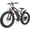 Black, variant on Wheelspeed 26" X 4.0" Fat Tire Electric Bike for Adults, 500W Motor 48V 696Wh Battery 85km Long Range 32km/h Electric Bicycle Mountain Bike, Shimano 7-Speed Gear Snow Beach E-Bike