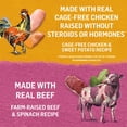 thumbnail image 4 of Beyond Trousse Variée en Sauce Boeuf, Poulet, Nourriture Humide pour Chiens 354 g, 4 of 8