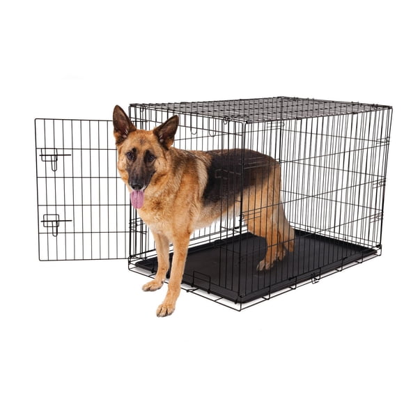 Petmate Doskocil 48" Giant Wire Crate Dog Kennel