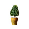 thumbnail image 2 of Elodie Artificial Potted Flower Bonsai Plastic Plant Tree for Table Desktop Garden decorative creative Gifts 7, 2 of 8