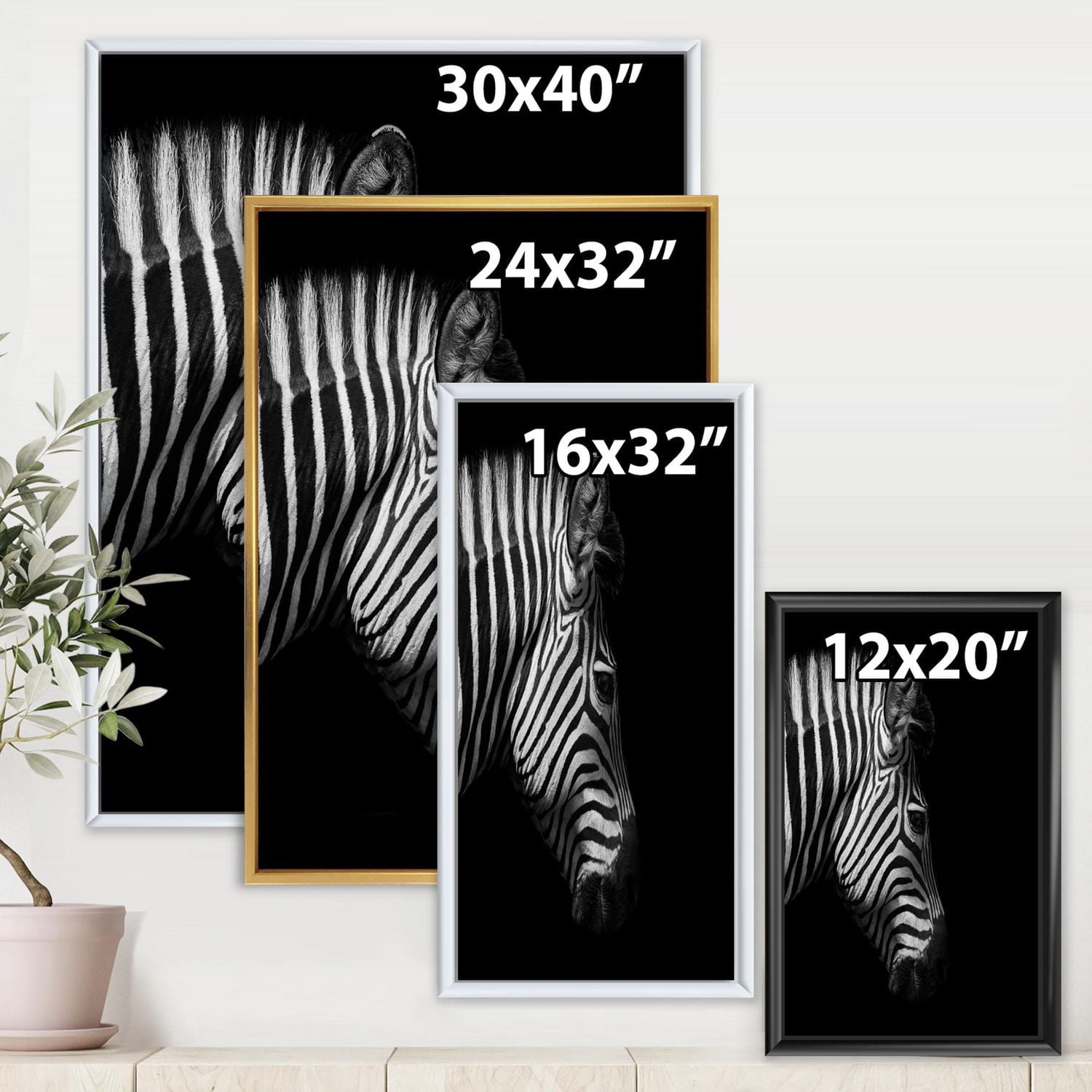 Designart Portrait monochrome de tête de zèbre ART MURAL À CADRE FLOTTÉ