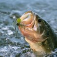 thumbnail image 5 of Ftwytp High-Density PVC Slow-Sinking Dice Bait - DIY Fishing Lures for Bass, Catfish & Trout | 10-Pack Reusable Tackle for Rivers, Lakes, Saltwater, 5 of 5