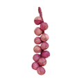 thumbnail image 1 of MesaSe Artificial Fruit Foam Vegetable Corn Pepper Garlic Hanging Photo Prop Home Decor, 1 of 8