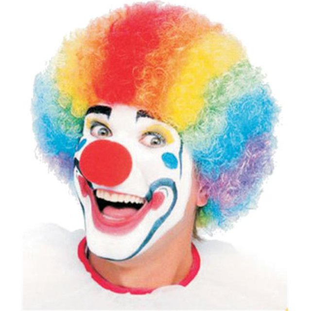 Dress Up America 313 Colored Clown Wig