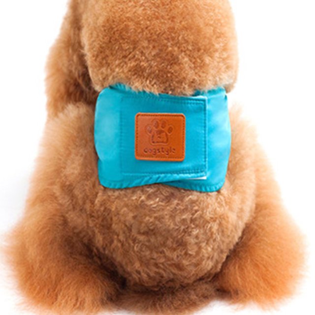 CAROOTU Couches Lavables Réutilisables pour Chiens Coton Respirant Chiot Bandes de Ventre Crochet & Boucle Sanitaire Réglable Pantalon pour Animal de Compagnie