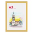 thumbnail image 1 of Gold/Silver Optional PVC Magnetic Wall-Mounted Frame - A3/A4 Sizes for Certificates, Posters, Business Licenses - Transparent Display Case with Lightweight Design (180g A3/120g A4) - Creative Hanging, 1 of 6