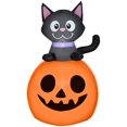 thumbnail image 1 of Airblown-Black Cat sur la scène JOL-SM, 1 of 1