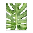 thumbnail image 1 of Designart Green Monstera Leaf Tropical Palm Botanical Detail FLOAT FRAME WALL ART, 1 of 4
