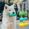 thumbnail image 2 of Amdohai Dog Toothbrush Chew Toy Squeaky Sound Durable Teeth Cleaning Pet Chewing Toy Molar Stick, 2 of 8