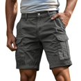 thumbnail image 1 of Cargo Shorts for Men Hiking Work Big & Tall Regular Fit Zipper Closure Bermuda Short Summer Clothes, 1 of 5