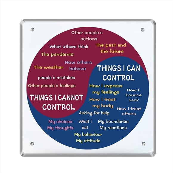 Feeling Wheel for Adults, Acrylic Emotion Wheel Chart, Colorful Mental Health Decor, Social Work Feeling Wall Art,1 * Feeling Wheel
