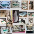 thumbnail image 2 of MAX Catch Pièges à Souris Collants, Planches de Colle Collante, Catchmaster, Pièges à Insectes Collants, Planches de Colle pour Arachides pour le Contrôle des Souris et des Insectes - Lot de 10, 2 of 7