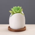 thumbnail image 4 of Cartoon Cactus Ceramic Flowerpot Cute Personality Ornament For Patio Garden, 4 of 5