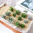 thumbnail image 2 of Coofit Artificial Succulent DIY Realistic Mini Unpotted Succulent Artificial Plant, 2 of 10
