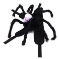 thumbnail image 3 of Costume de Chien Chat Halloween Araignée Respirant Ajustable Simulation Araignée Costume pour Animaux Violet L, 3 of 9