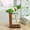 SingleBottle, variant on Terrarium Hydroponic Plant Vases Vintage Flower Pot Transparent Vase Wooden Frame Glass Tabletop Plants Home Bonsai Decor,SingleBottle