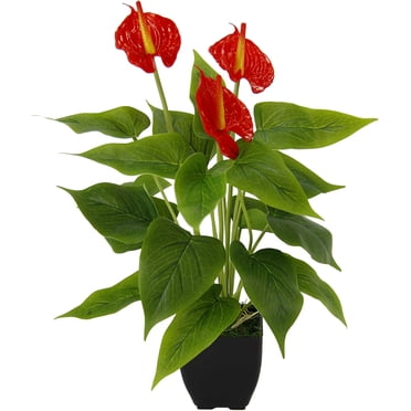 Anthurium Rouge Exotique, Plantes d'Intérieur Vivantes, Anthurium Rouge en Soie au Toucher Réaliste, Accrocheur Toute l'Année pour la Déco de Bureau et de Maison