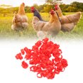 thumbnail image 4 of Bague Pieds Volaille, Boucle de Volaille Pieds Anneau Réutilisable PP Plastique Inscriptible pour Canard Rouge 16mm/0.6in, 4 of 8