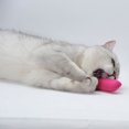 thumbnail image 4 of 2PCS Cat Teeth Cleaning Toy Cute Funny Catnip Toy Pet Interactive Toy for Kitten, 4 of 10