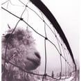 thumbnail image 1 of Pearl Jam - Vs (Vinyl), 1 of 3
