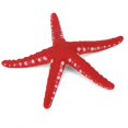thumbnail image 3 of Plastic Landscape Decoration Aquarium Simulation Starfish, Simulation Starfish, Luminous For Fish Tank Aquarium Blue,red, 3 of 8