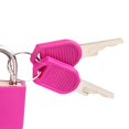 thumbnail image 2 of GROWTH TANK Mini Cadenas 2 Clés Cadenas de Sécurité pour Étui de Rangement Boîte à Outils Sacs de Gym Rouge Rose, 2 of 6