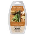thumbnail image 1 of ScentSationals Scented Essential Oil Wax Cubes - Lemongrass & Sparkling Ginger, 1 of 2