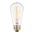 thumbnail image 1 of 60W Vintage Edison S60 Squirrel Cage Incandescent Filament Light Bulb, 1 of 5