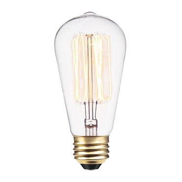 Ampoule Vintage Edison incandescente S60 avec filament et cage d'écureuil de 60W