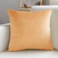 thumbnail image 1 of Birdeem Premium Velvet Pillow Cover, Soft and Smooth Cushion Cover, Decorative for Sofa, Chair, or Bed, 18x18 Inches Size with Hidden Zipper for Easy Use, 1 of 9