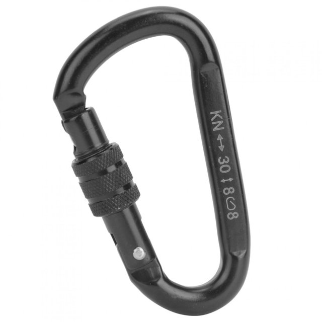 Boucle d'Escalade sur Roche, Mousqueton à Grande Capacité de Charge, Mini Format, Conception de Type D, Acier au Carbone pour Projets Extérieurs