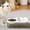 White, variant on Automatic Pet Water and Food Dispenser, Large Capacity Dog Cat Feeder, Dry Wet Separation, Pet Water Dispenser, Automatic Pet Feeding Station, Indoor Outdoor Pet Feeder, Travel Pet Feeder